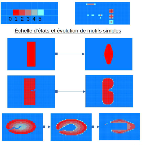Erosion simulations with von Neumann neighbourhood: state scale and evolution of simple motifs